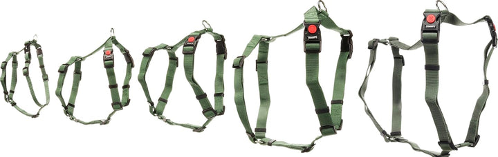 hundegeschirr - ziggi kaki H-Form - grösse M - 45-65 cm / 55-70 cm - 20 mm - Nylon hundegeschirr ver