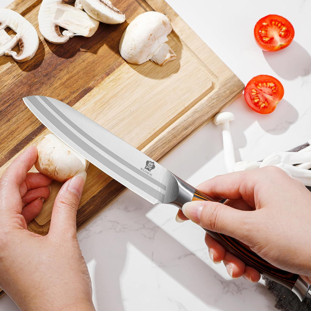 WILDMOK 5 Stück Messerset Küchenutensilien Messer, Deutscher Edelstahl Professioneller Küchenchef Kü