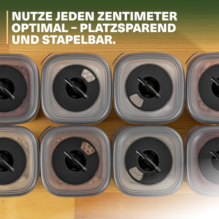 Gewürzdosen Set – 12 Aufbewahrungsdosen mit Streudeckel – BPA-frei, spülmaschinengeeignet, transpare