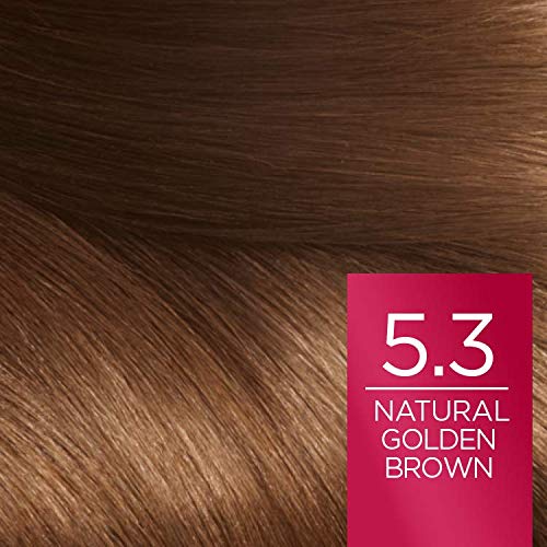 L 'Oreal Paris Excellence 5.3 Goldbraun, 5.3 Goldbraun