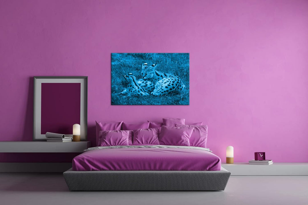 deyoli zwei kuschelnde Servale Felines Katzen Format 80x60 Effekt: Monocrome Blau als Leinwandbild,