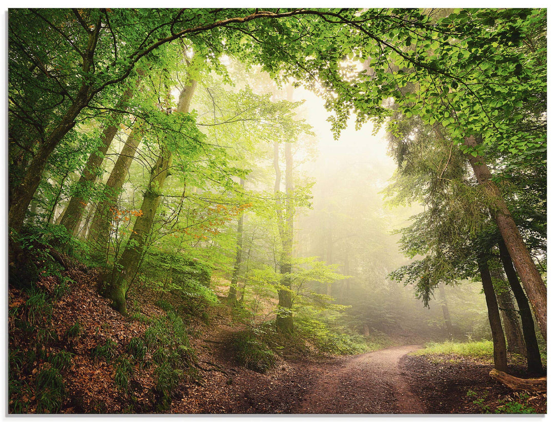 Glasbilder Wandbild Glas Bild einteilig 60x45 cm Querformat Wald Baum Natur Landschaft Nebel Sonne S
