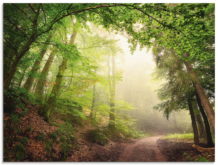 Glasbilder Wandbild Glas Bild einteilig 60x45 cm Querformat Wald Baum Natur Landschaft Nebel Sonne S