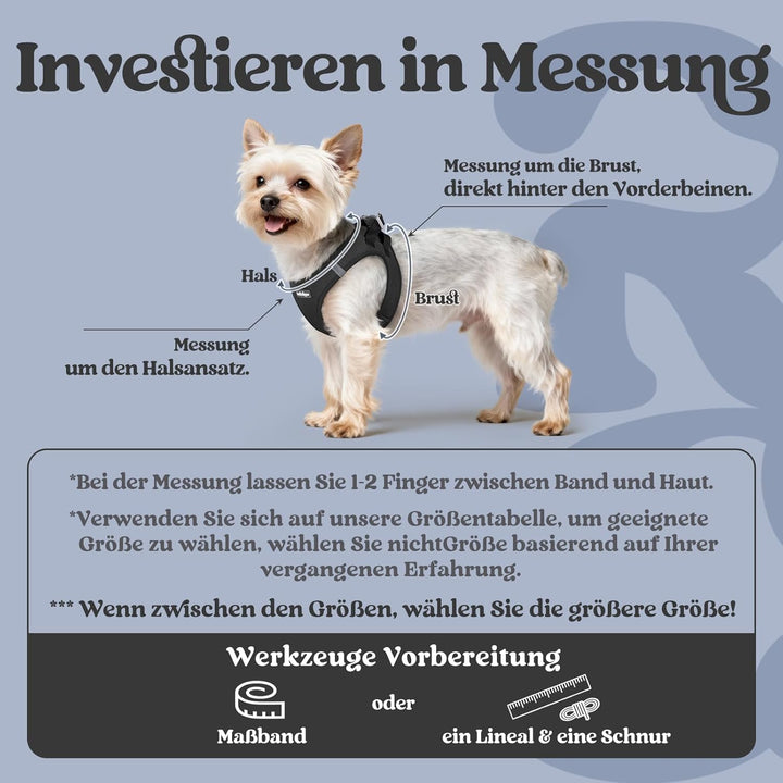 rabbitgoo Hundegeschirr Kleine Hunde, Step-in Welpengeschirr Weich Mesh für Spaziergänge, Atmungsakt