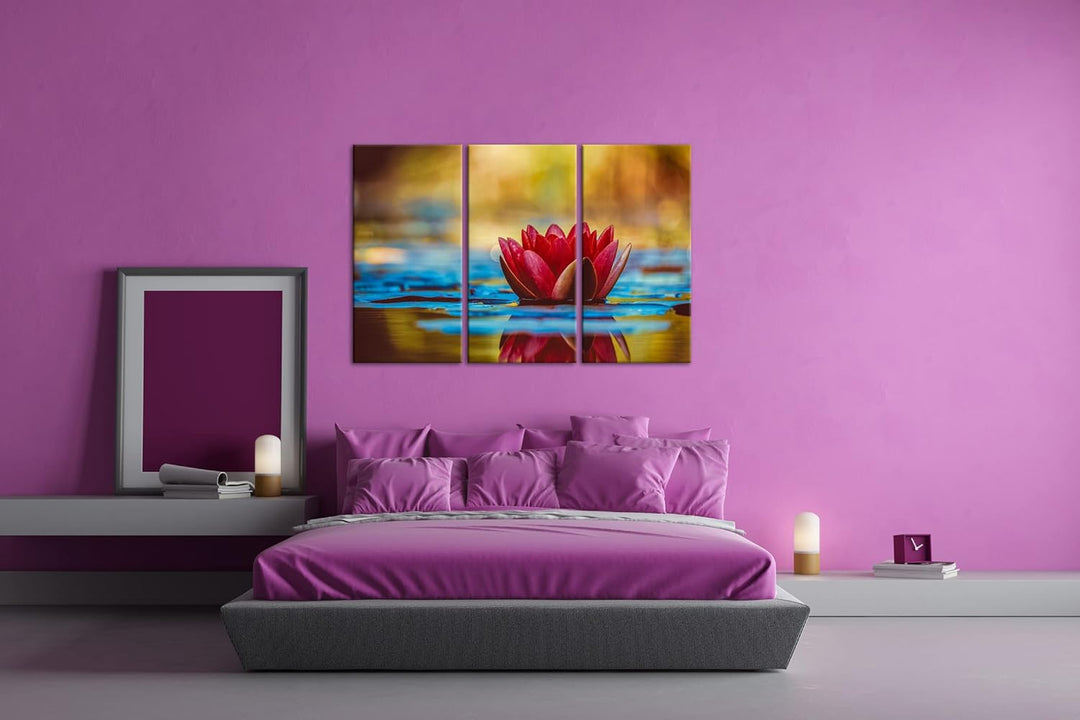 glorreiche Seerose Format: 3Teilig als Leinwandbild, Motiv fertig gerahmt auf Echtholzrahmen, Hochwe