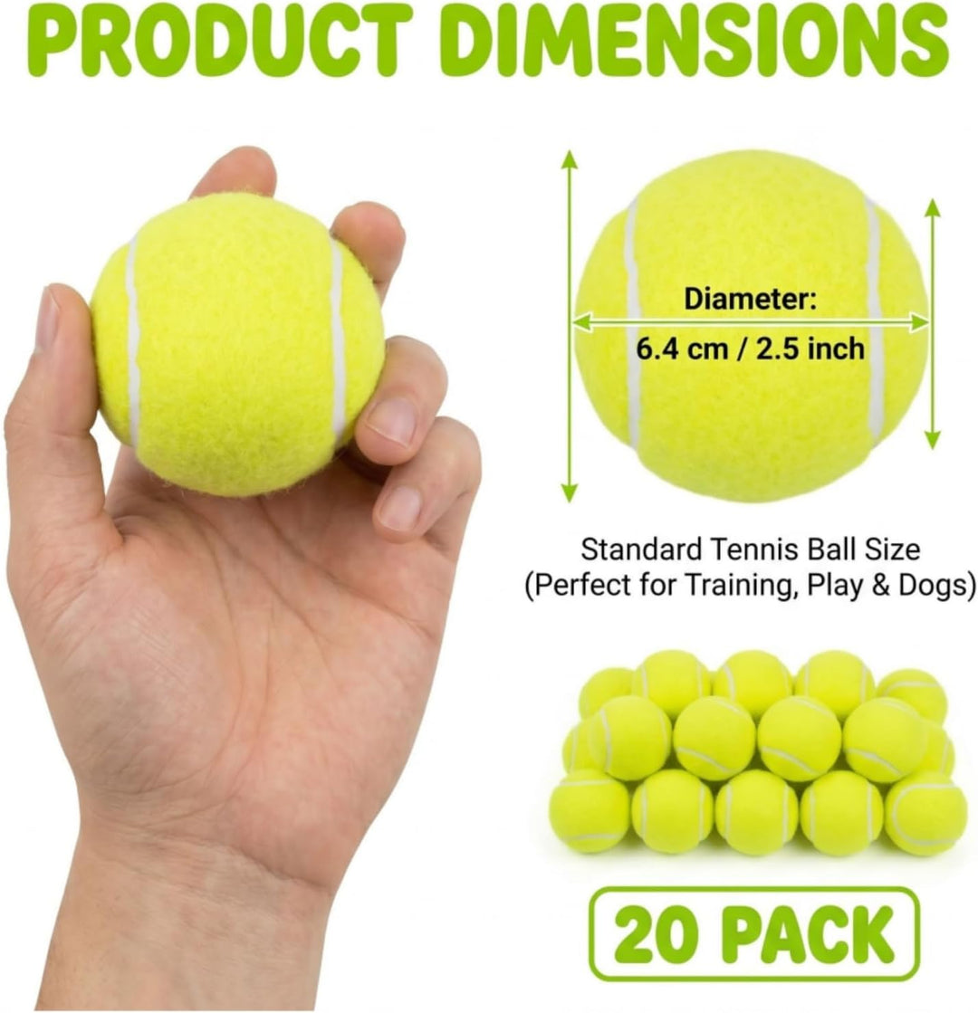 Tebery 20 Stück Tennisbälle mit Mesh-Tragetasche, Tennis Training Übungsbälle Hundespielzeug Spielbä