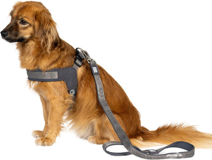Max & Molly Q-Fit Hundegeschirr Mittelgrosse Hunde mit Gotcha! Smart ID Sicherheitsanhänger, Matrix