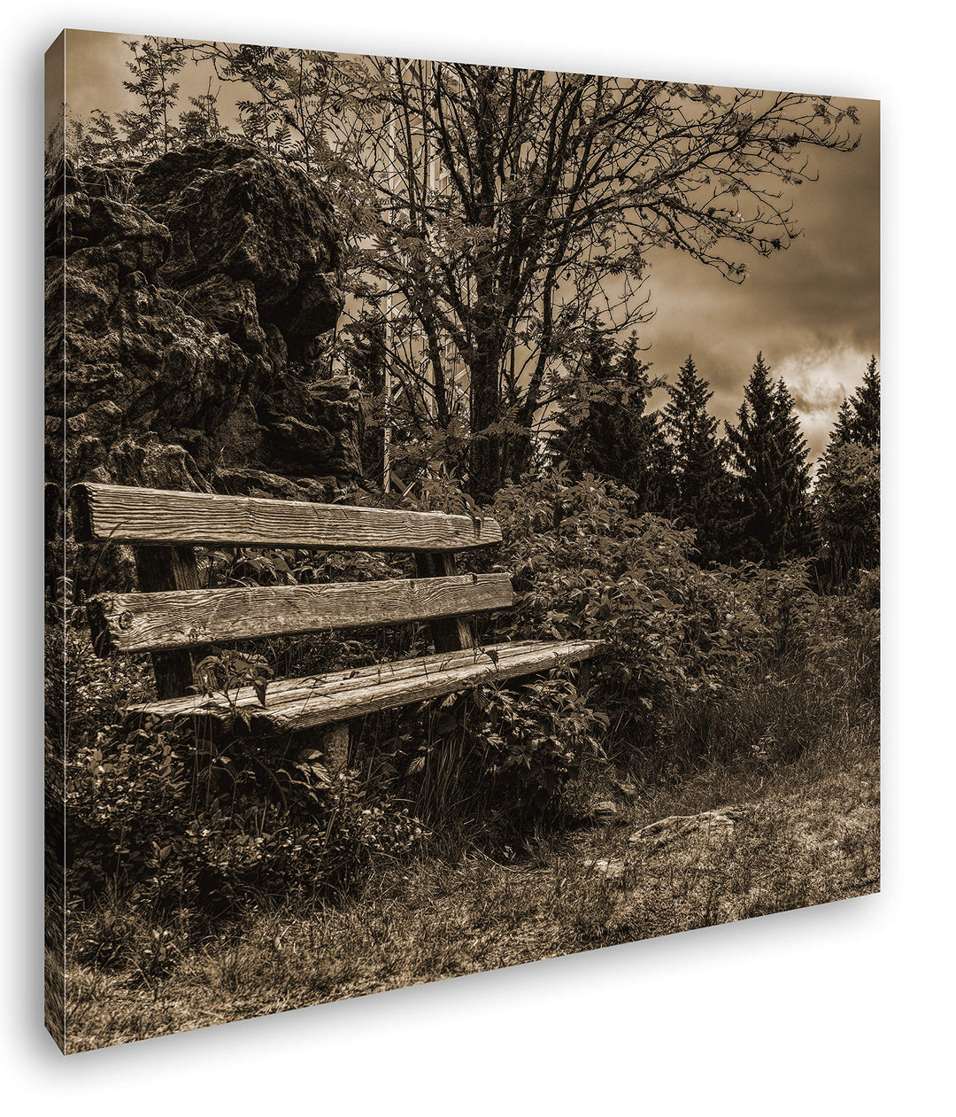 deyoli einsame Bank am Waldrand Format: 60x60 Effekt: Sepia als Leinwandbild, Motiv fertig gerahmt a