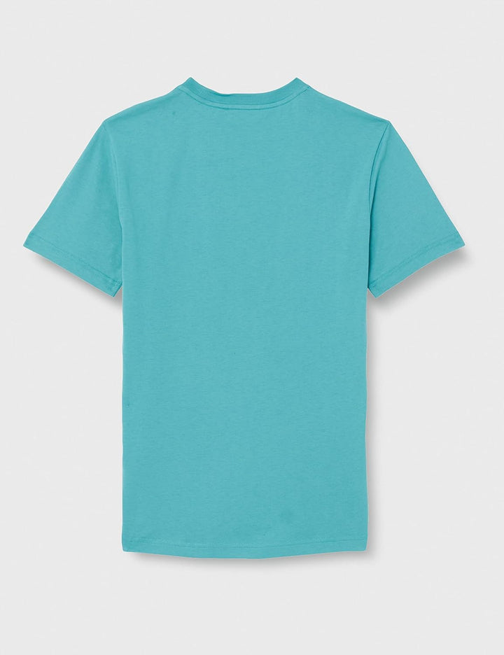 Calvin Klein Herren T-Shirts XS Saltwater Green, XS Saltwater Green