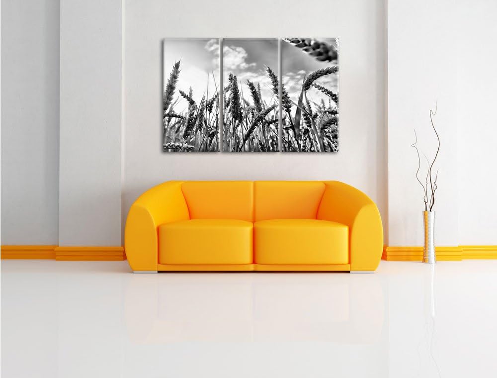 Pixxprint Monocrome, Getreide im Sonnenschein 3-Teiler Leinwandbild 120x80 Bild auf Leinwand, riesig