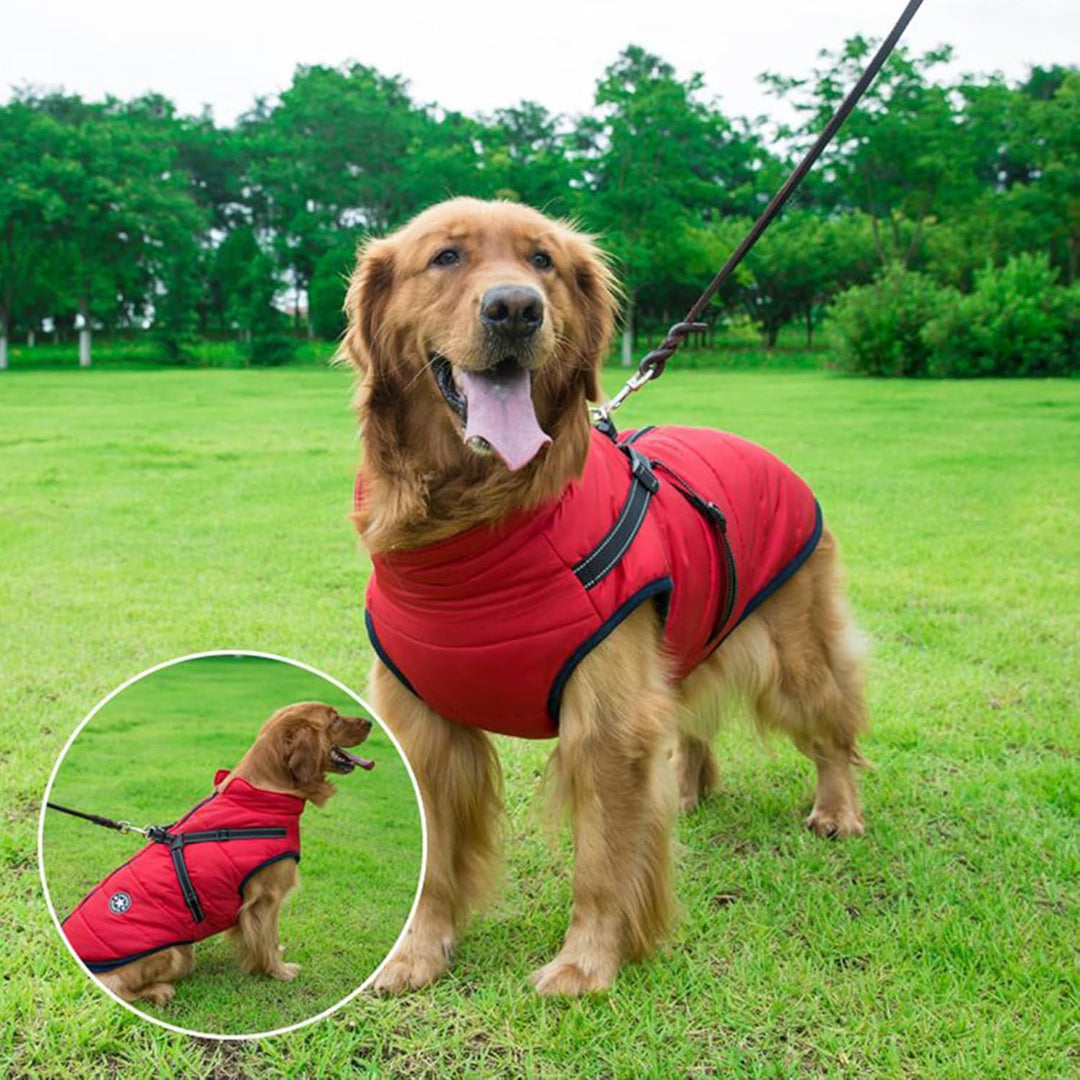 Hundejacken für den Winter Winddicht Wasserdicht 2 in 1 Outfit Kaltwettermantel Hundewestengeschirr