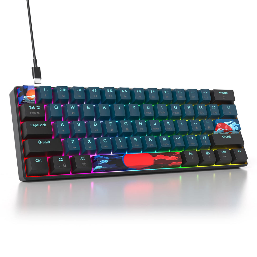 SOLIDEE mechanische gaming tastatur 60 prozent,61 Tasten kompakte mechanische tastatur RGB Hintergru