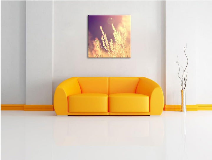 Gräser im Sonnenuntergang, Format: 70x70 auf Leinwand, XXL riesige Bilder fertig gerahmt mit Keilrah