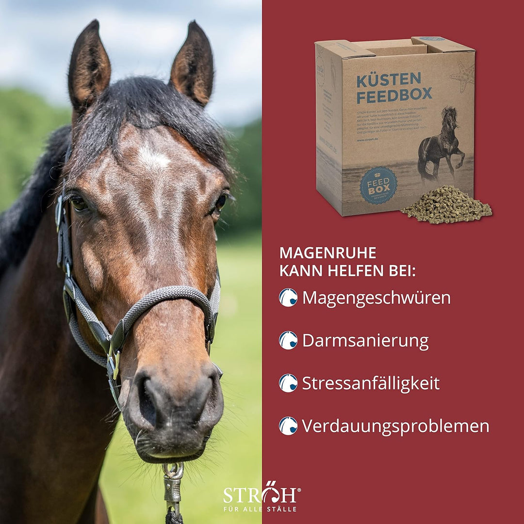 STRÖH Magenruhe Pferd (12kg Feedbox) Magenruhe Pferd (1kg) • Für Pferde Magen, Darm & Verdauung • Mi