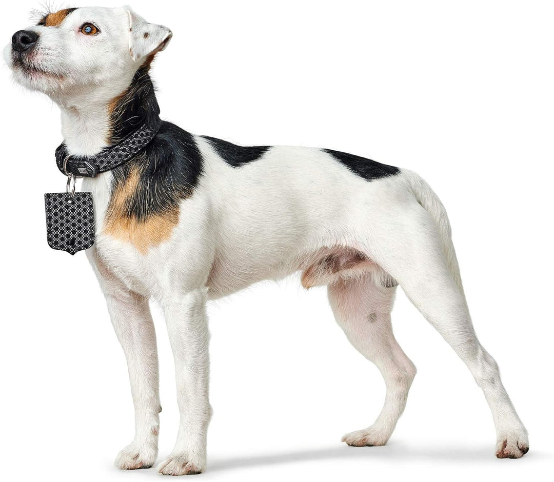 HUNTER HELLA REFLECT, Hundehalsband, reflektierend, Textil, Kunstleder, 35 (XS), schwarz schwarz 35,