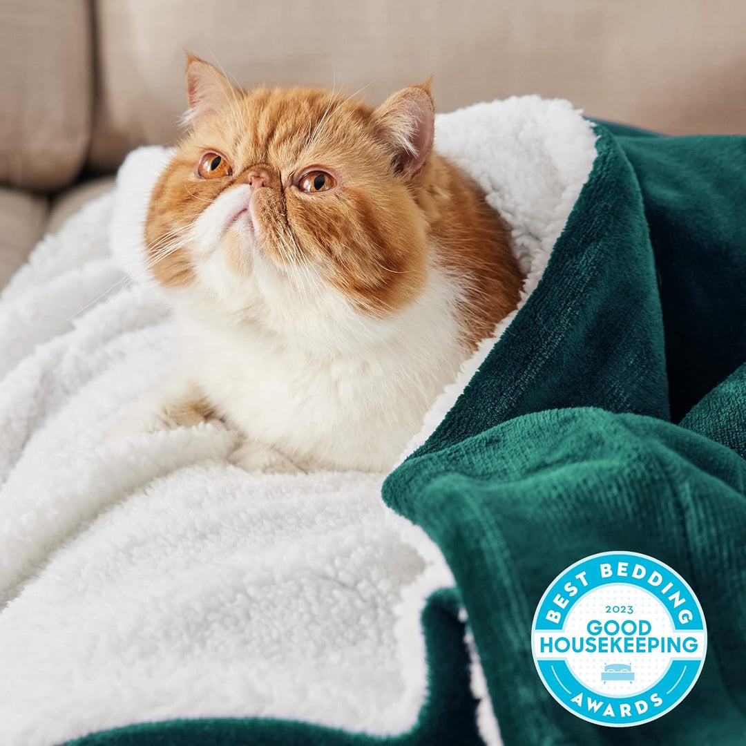 BEDSURE Decke Sofa Kuscheldecke Grün - warm Sherpa Sofaüberwurf Decke, Dicke Sofadecke Couchdecke, 1