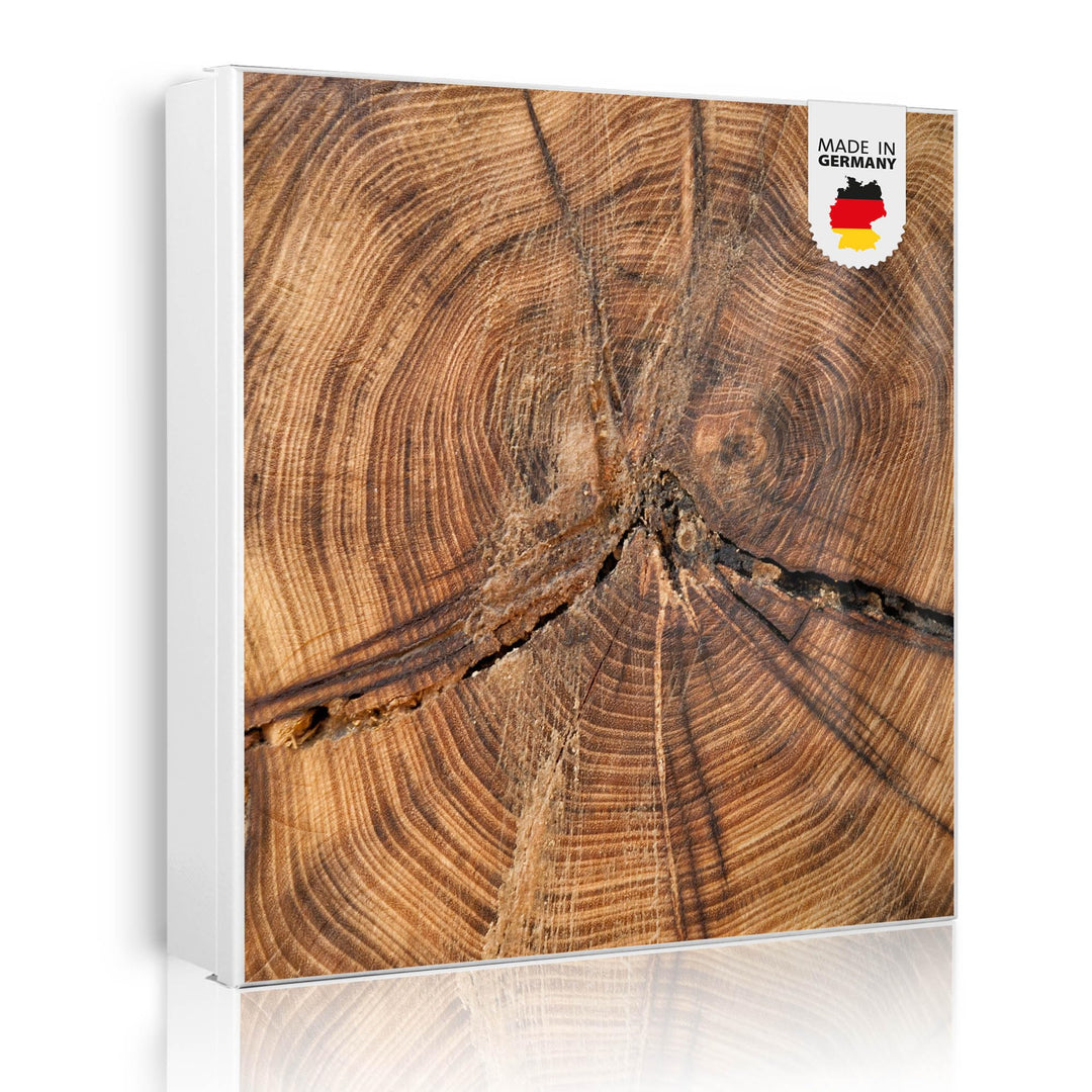 banjado® Grosser Schlüsselkasten Glas/Schlüsselbox 30cm x 30cm mit 50 Haken - Motiv Jahresringe/Schl