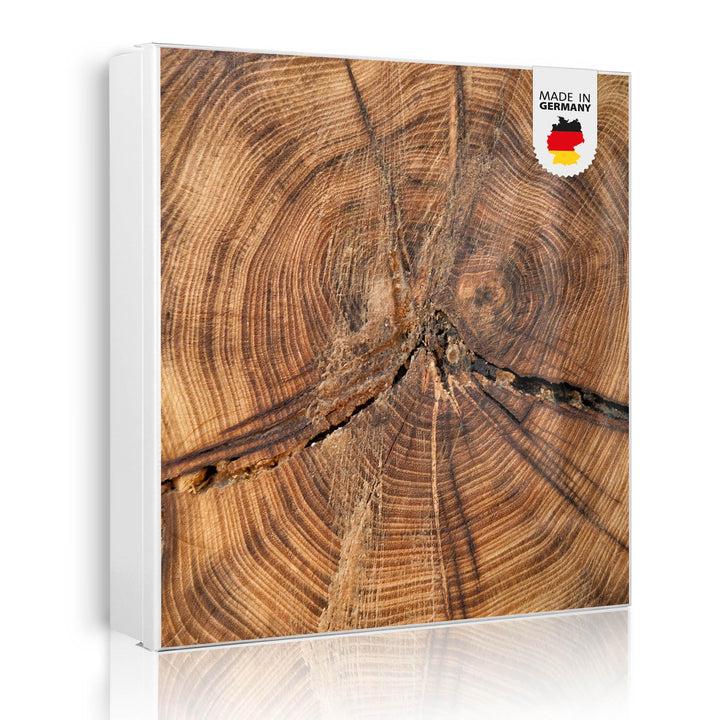 banjado® Grosser Schlüsselkasten Glas/Schlüsselbox 30cm x 30cm mit 50 Haken - Motiv Jahresringe/Schl