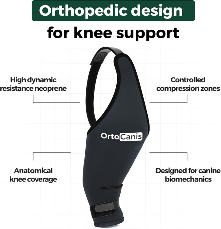 Ortocanis - Kniebandage für Hunde mit Kreuzbandverletzungen, Patellaluxation oder Arthrose, Grösse X