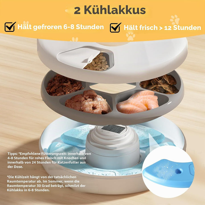 Auveach Futterautomat Katze Nassfutter Automat mit 2 Kühlakkus/Programmierbarem Timer, 6 Mahlzeiten