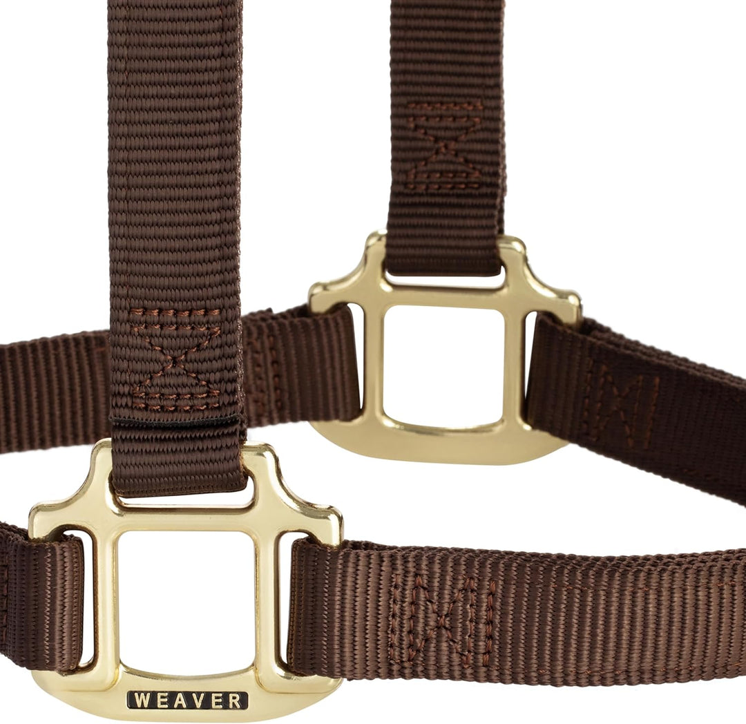 WEAVER Leather, Nicht verstellbares Halfter Braun Average Horse, Braun Average Horse