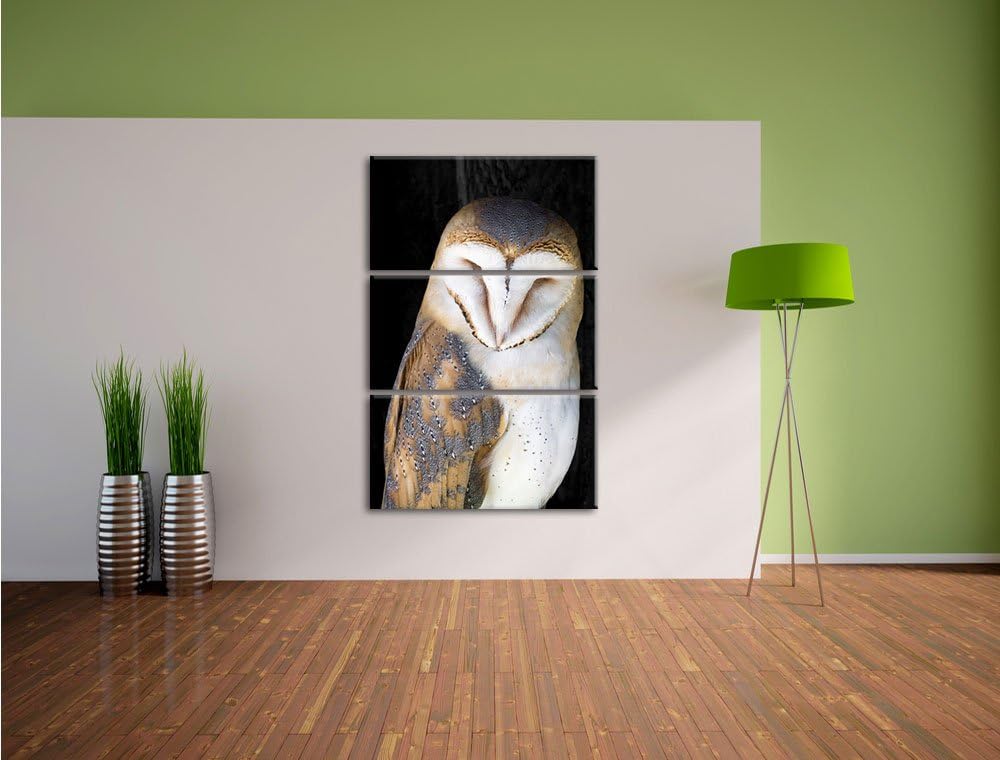 Pixxprint Schleiereule Schwarz/Weiss 3-Teiler Leinwandbild 120x80 Bild auf Leinwand