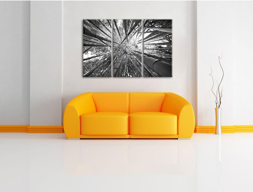 Pixxprint Grüner Bambus Kunst B&W als Leinwandbild | Grösse: 3 Teilig (120x80) | Wandbild| Kunstdruc