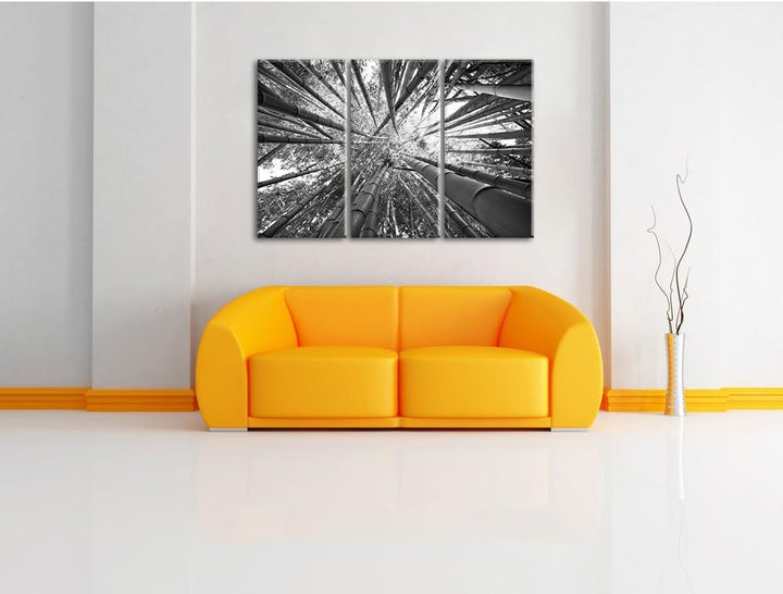Pixxprint Grüner Bambus Kunst B&W als Leinwandbild | Grösse: 3 Teilig (120x80) | Wandbild| Kunstdruc
