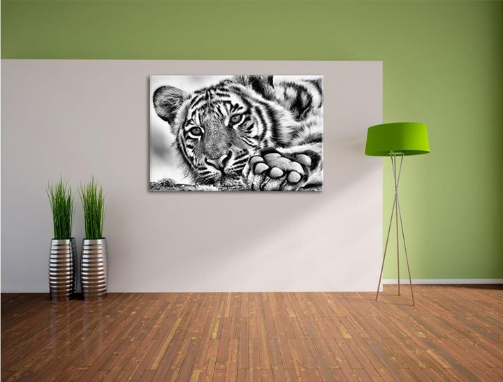 Monocrome, Tiger, Format: 100x70 auf Leinwand, XXL riesige Bilder fertig gerahmt mit Keilrahmen, Kun