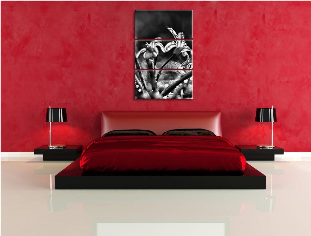 Pixxprint Wiesenblumen Morgentau als Leinwandbild/Grösse: 3 Teilig (120x80) / Wandbild/Kunstdruck/fe