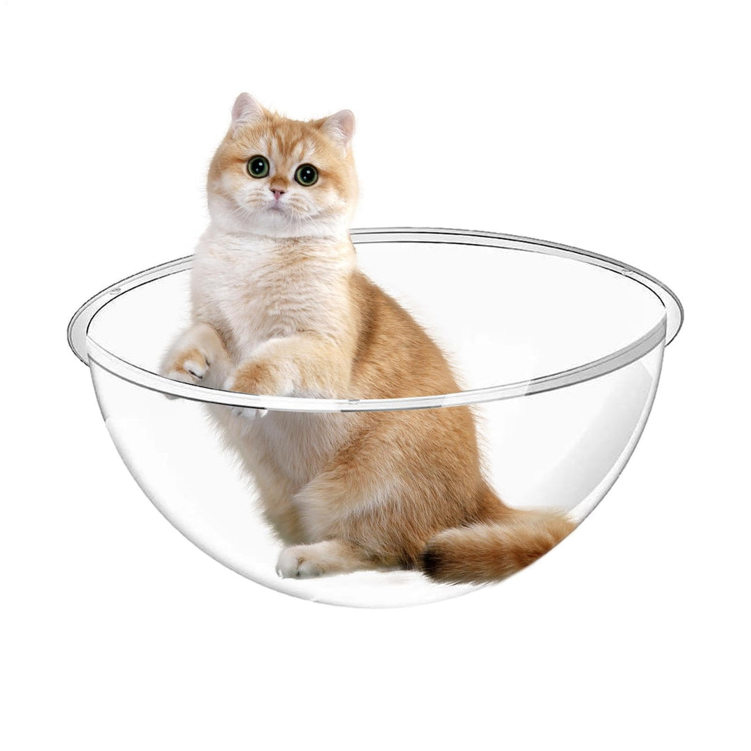 Halbkugel Aus Acryl Katzenhängematte Aus Acryl Transparente Halb Kugel Kratzfeste Katzenspielzeugbet