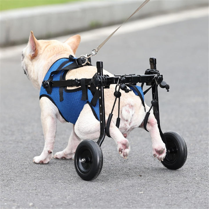 Verstellbarer Hunderollstuhl Hinterbein Hinterbein Behinderte Haustier Katze Hund Mobilitätshilfe Tr