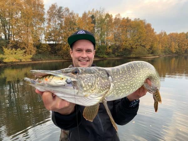 LMAB KØFI Perch Shad 7 cm (KÖFI) Farbe Green Pumpkin Chartreuse