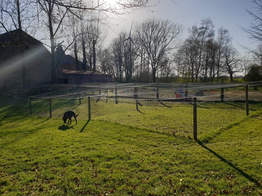 Teichnetz - 5,0m x 10,0m, Mw 10,0cm, geknotet, dunkelgrün, Reiherschutznetz Vogelabwehrnetz