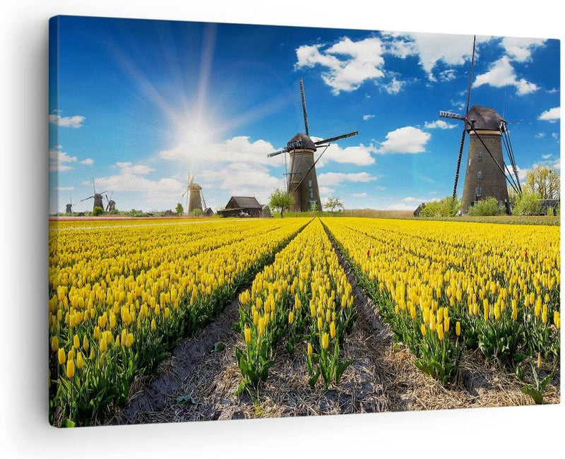 Bilder auf Leinwand Tulpen Windmühle Wiese Landschaft Leinwandbild 70x50cm Wandbilder Dekoration Woh