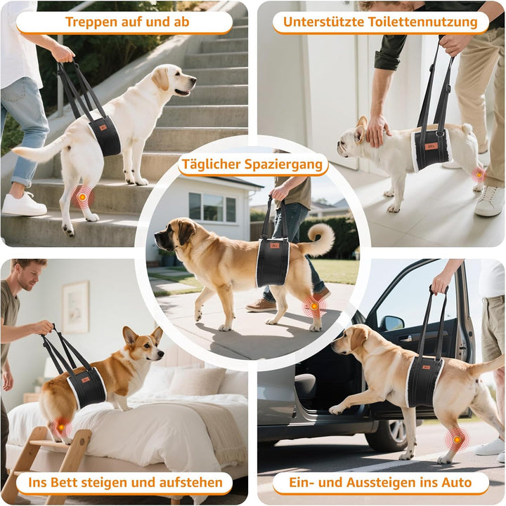 Hundegeschirr Hunde Tragehilfe Einstellbar Gehhilfe Hund Treppe Hund Hinten Lift Support Geschirr Kl