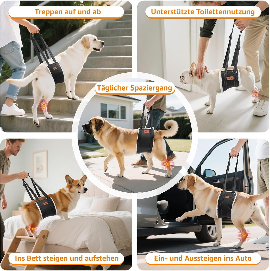 Hundegeschirr Hunde Tragehilfe Einstellbar Gehhilfe Hund Treppe Hund Hinten Lift Support Geschirr Kl