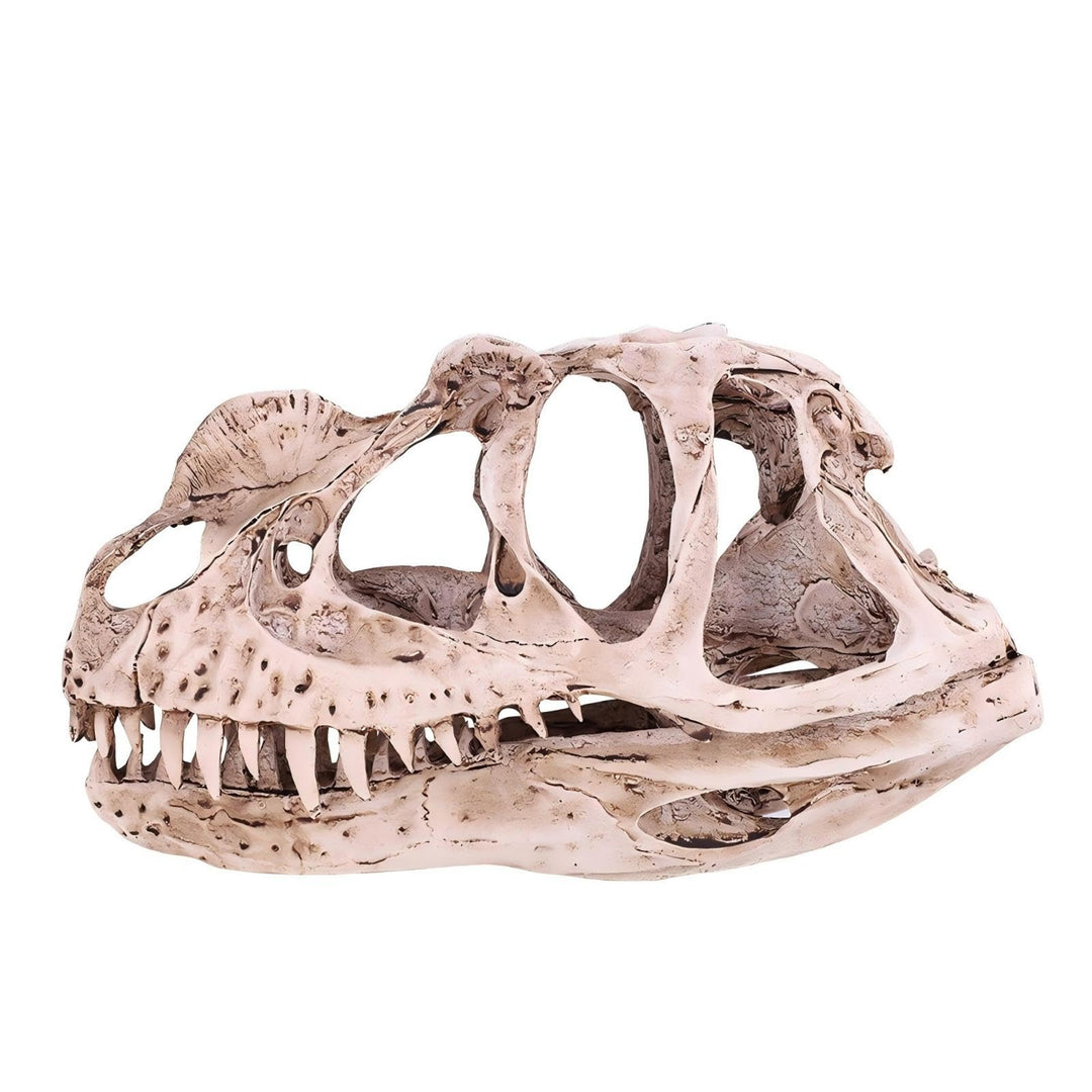 VIFERR Dinosaurier-Schädel-Modell Harz simuliertes Dinosaurier-Skelett Home-Office-Dekor Handwerk Le