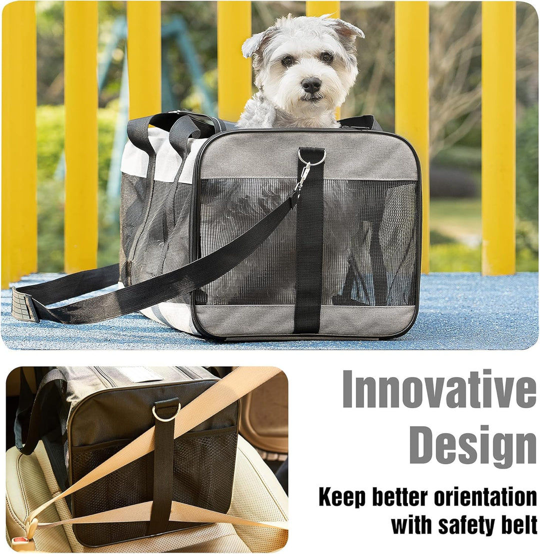 HITSLAM hundebox Faltbar Hundetransportbox Katzentransportbox Katzenbox Transportbox katzentasche fü
