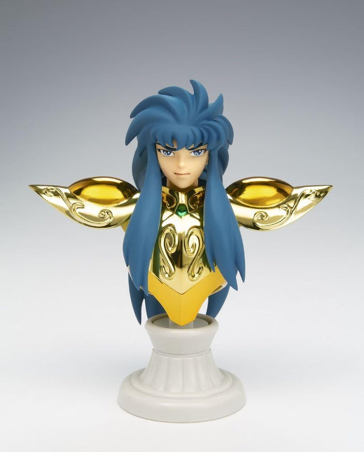 Saint Seiya Saint Cloth Myth Appendix Aquarius Camus Figure