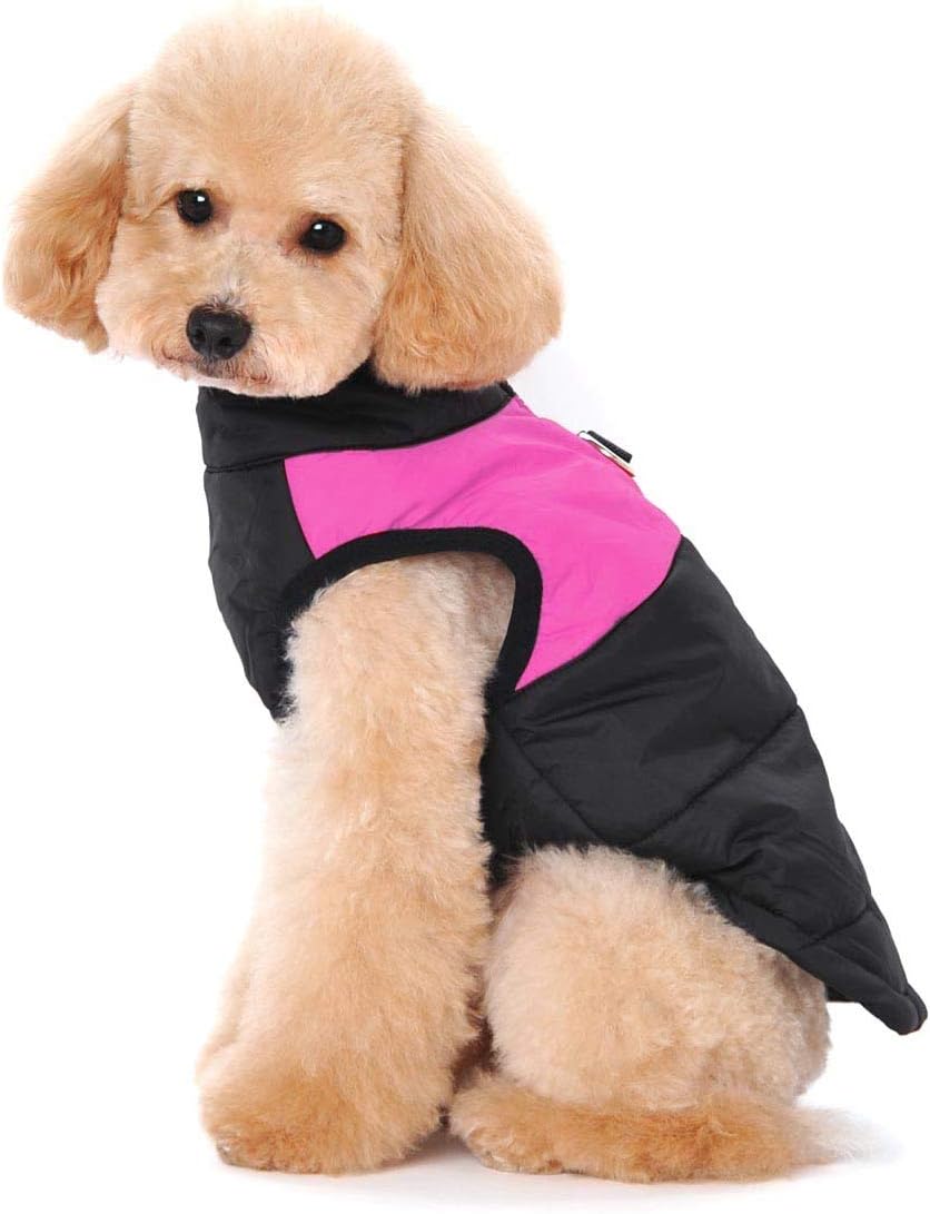 Winter Warm Pet Hund Kleidung klein wasserdichte Hundemantel Jacke Winter Gesteppt Gepolstert Puffer