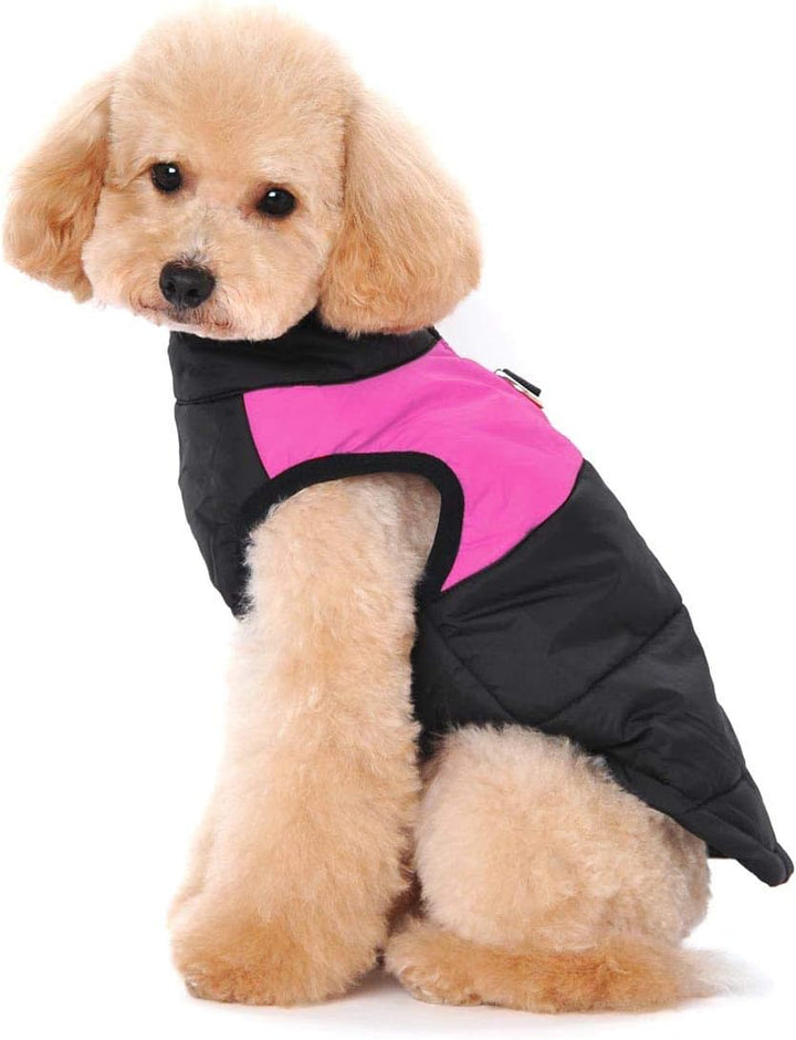 Winter Warm Pet Hund Kleidung klein wasserdichte Hundemantel Jacke Winter Gesteppt Gepolstert Puffer
