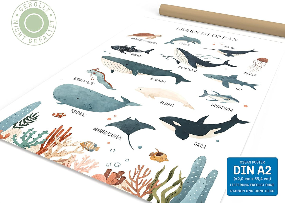 kizibi® Unterwasserwelt Lernposter für Kinderzimmer - Detailliertes DIN A2 Poster des Meeres & Ozean