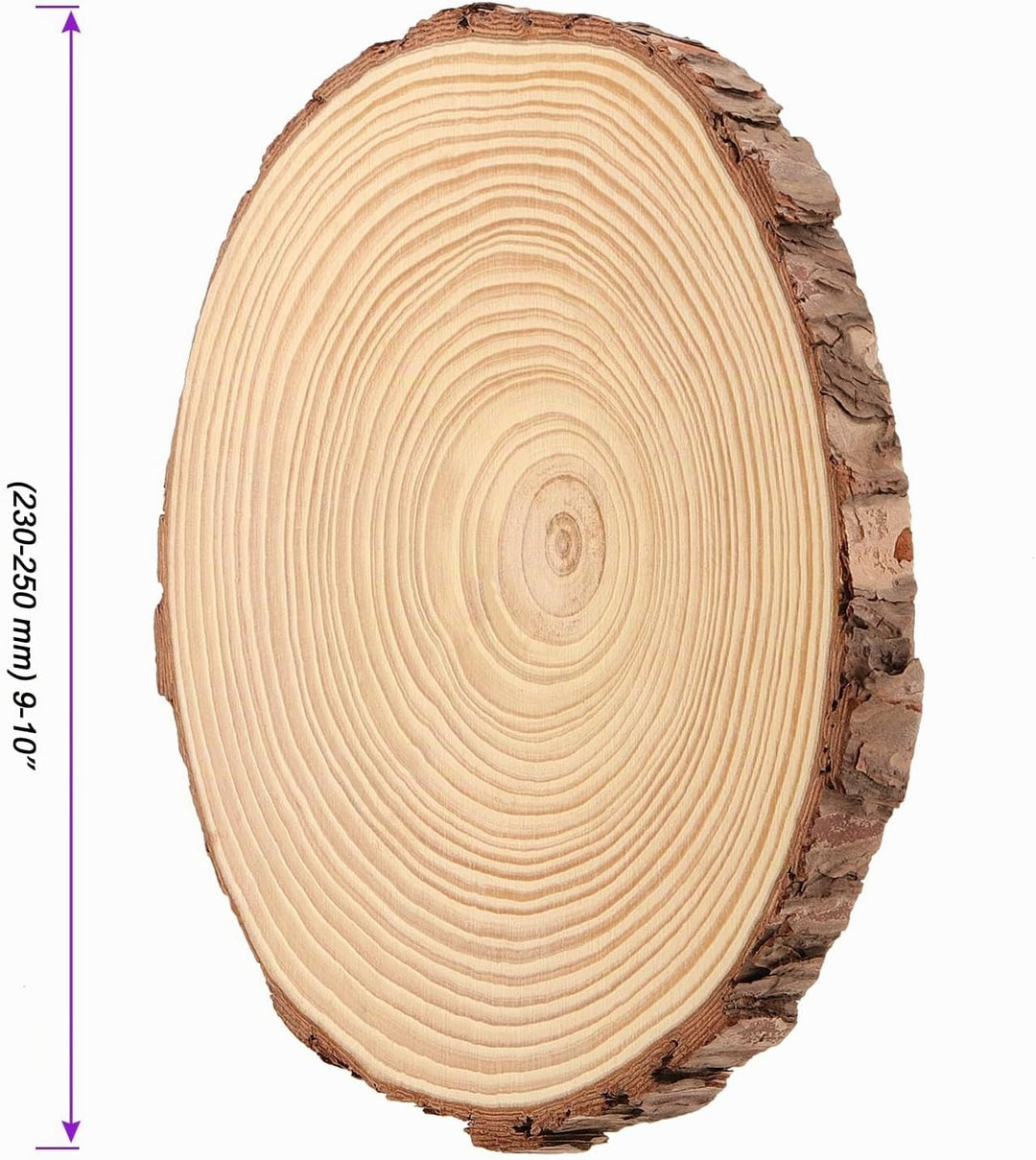 3 Stücke 23-25cm Unvollendete Holzkreise Gross Natur Holzscheiben zum Basteln, Runde Baumscheiben mi