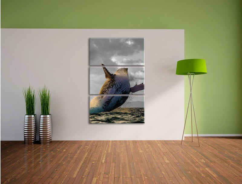 Pixxprint riesiger Buckelwal in Canada schwarz/weiss 3-Teiler Leinwandbild 120x80 Bild auf Leinwand
