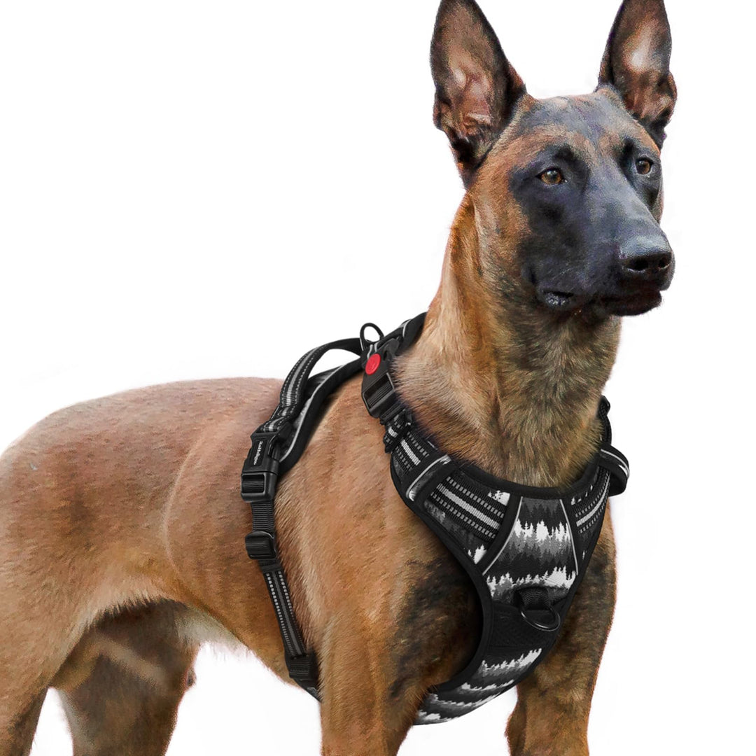 rabbitgoo Hundegeschirr Grosse Hunde Leichtes Anlegen, XL, Bergschwarz | Anti Zug, Ohne Kopfdurchzug