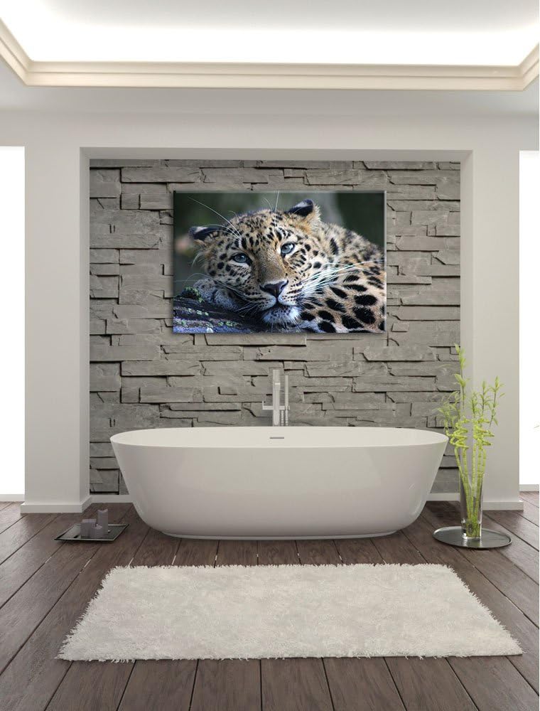 Pixxprint ruhender Leopard auf Leinwand, XXL riesige Bilder fertig gerahmt mit Keilrahmen, Kunstdruc