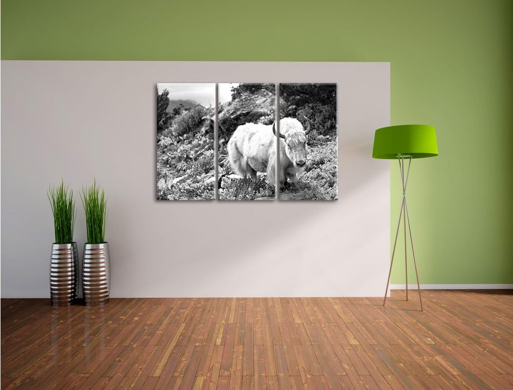 Pixxprint Schönes Yak Himalaya Kunst B&W / 3-Teilig/Gesamtmass 120cm Leinwandbild bespannt auf Holzr