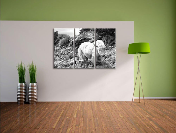 Pixxprint Schönes Yak Himalaya Kunst B&W / 3-Teilig/Gesamtmass 120cm Leinwandbild bespannt auf Holzr