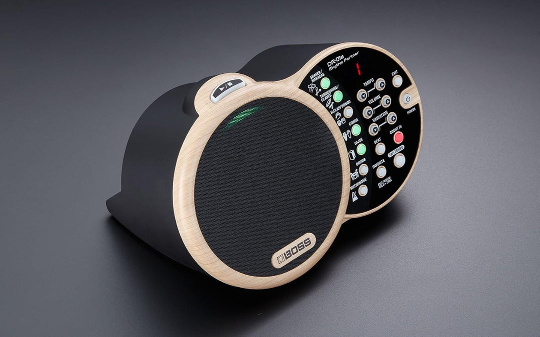 Boss DR-01S Rhythm Partner, DR-01S